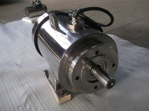 大连帝玛电机制造厂 专业供应不锈钢与卫生级电机的领先厂家